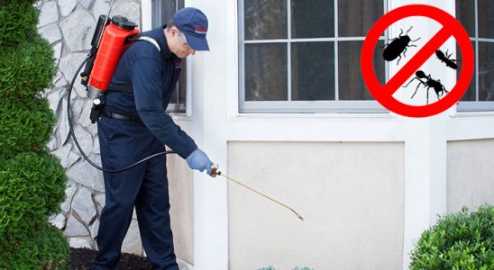 Cide Karınca İlaçlama böcek ilaçlama ve haşere kontrolü — ilaclama-tr.com